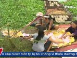 THỜI SỰ 19H 04.9.2011 , TTXVN, VNEWS, VNA, TRUYỀN HÌNH THÔNG TẤN, TTXVN