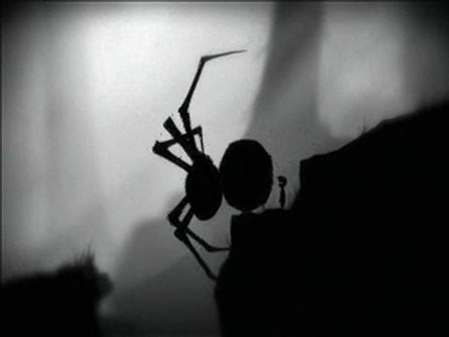 ⁣Compilation mort limbo