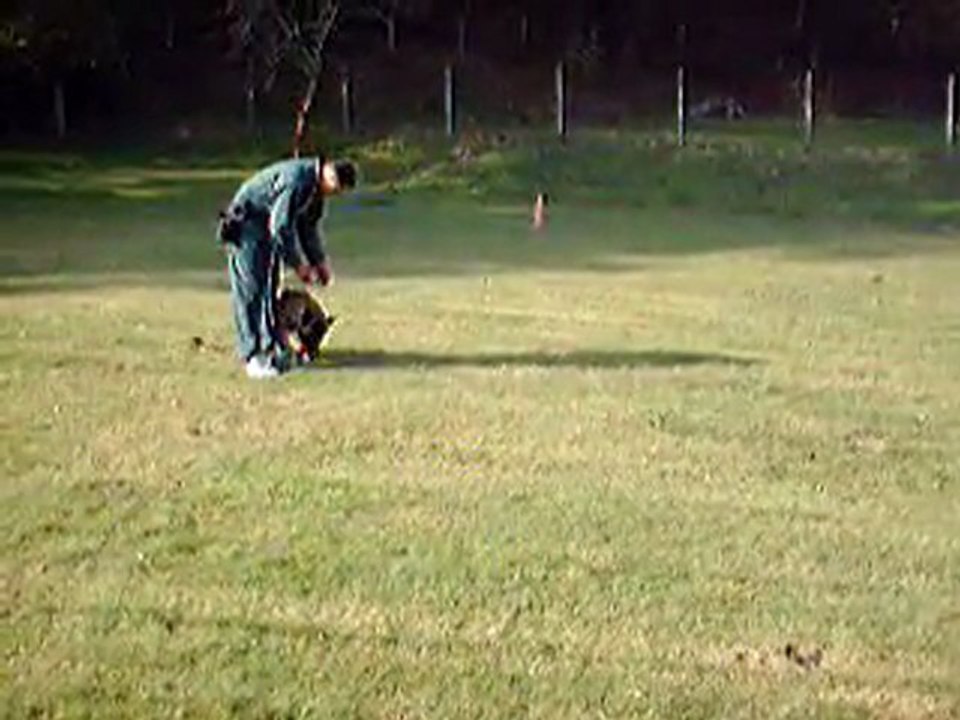 Centre Canin Cyno 23, " le rapport d'objet "