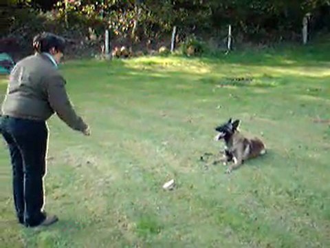 Centre Canin Cyno 23, le refus d'appat