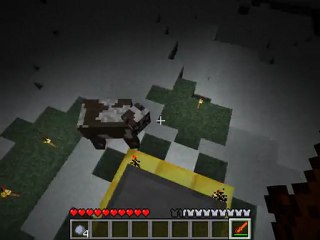 Trailer attaque de cochon sauvage; ma premiere série minecraft !