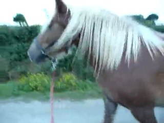 Balade avec Tigane 1_4Sept11