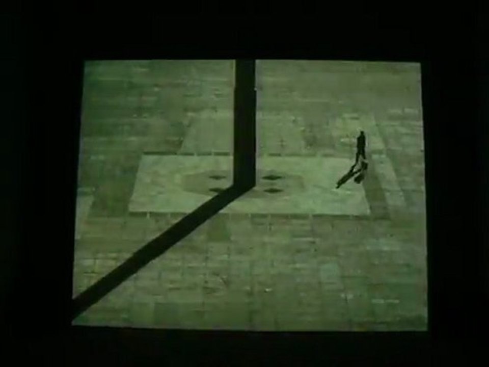 les moutons de Francis Alÿs (2)