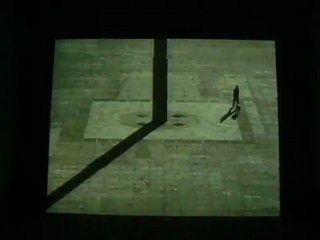 les moutons de Francis Alÿs (2)