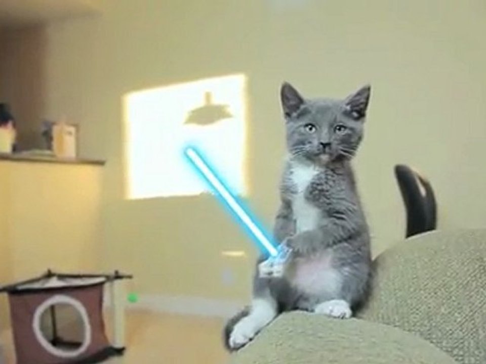 Chatons Jedi avec Sabres Laser (HQ+)