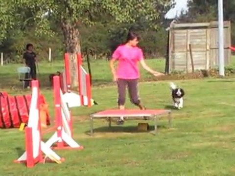 GPF- championnat france CAVALIER KING CHARLES -NOGENT-040911