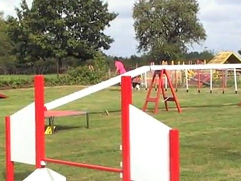 2E DEGRE-championnat france CAVALIER KING CHARLES -NOGENT-040911