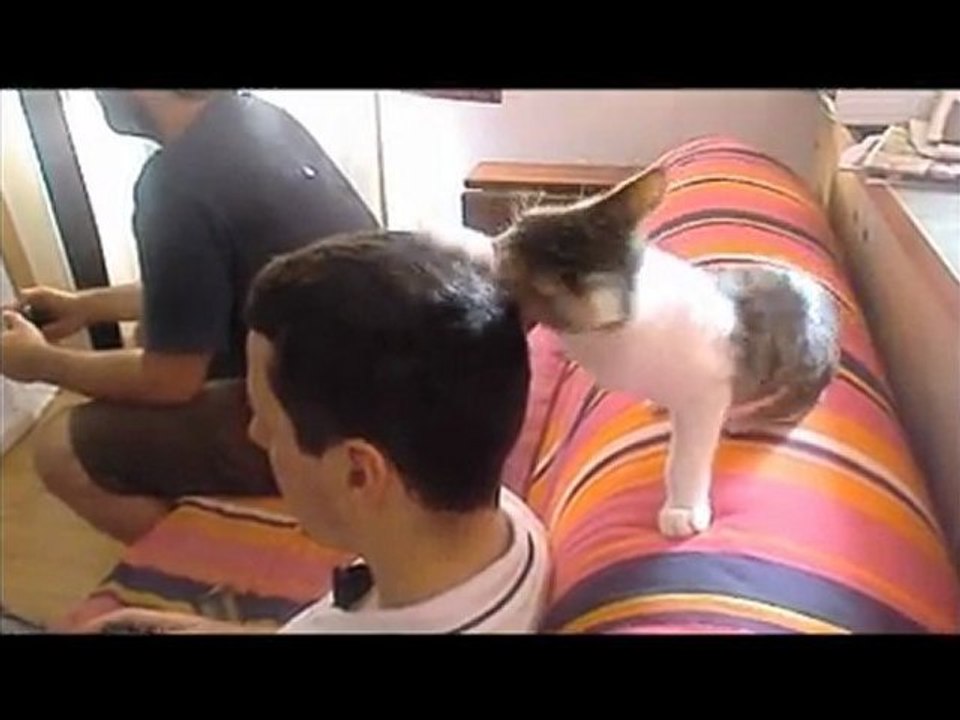 Gatchu le clip