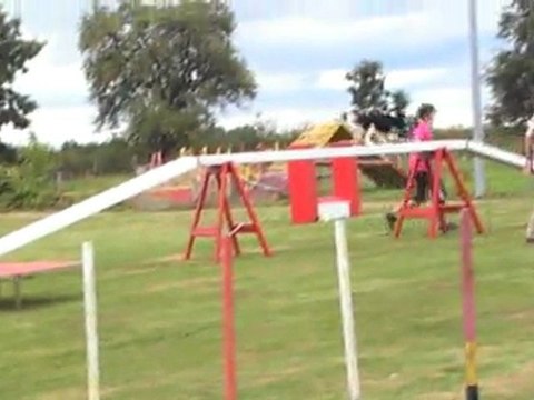 AGILITY-championnat france CAVALIER KING CHARLES-NOGENT 040911