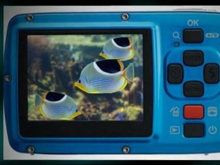 Great Fuji Underwater Camera Finds