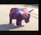 Elephant vol Ref:xkvwvd