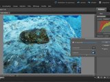 Photoshop Elements 9 : Éclaircir une photo