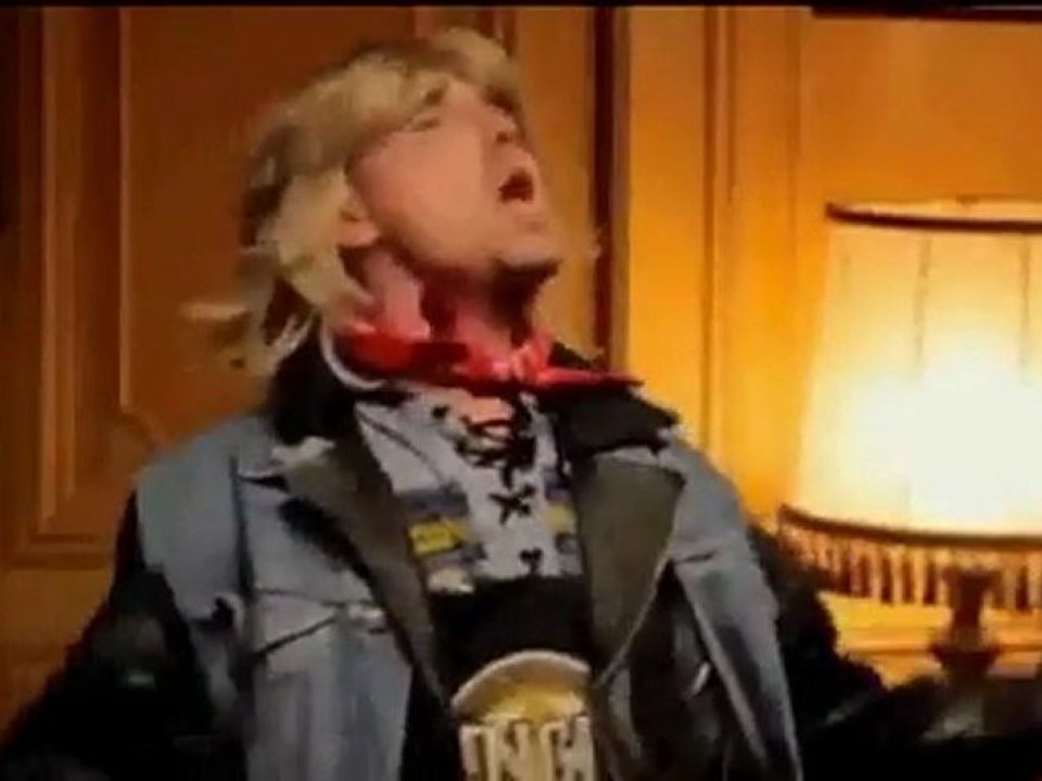 nerdz - regis robert - chanson , les chats cest des connards