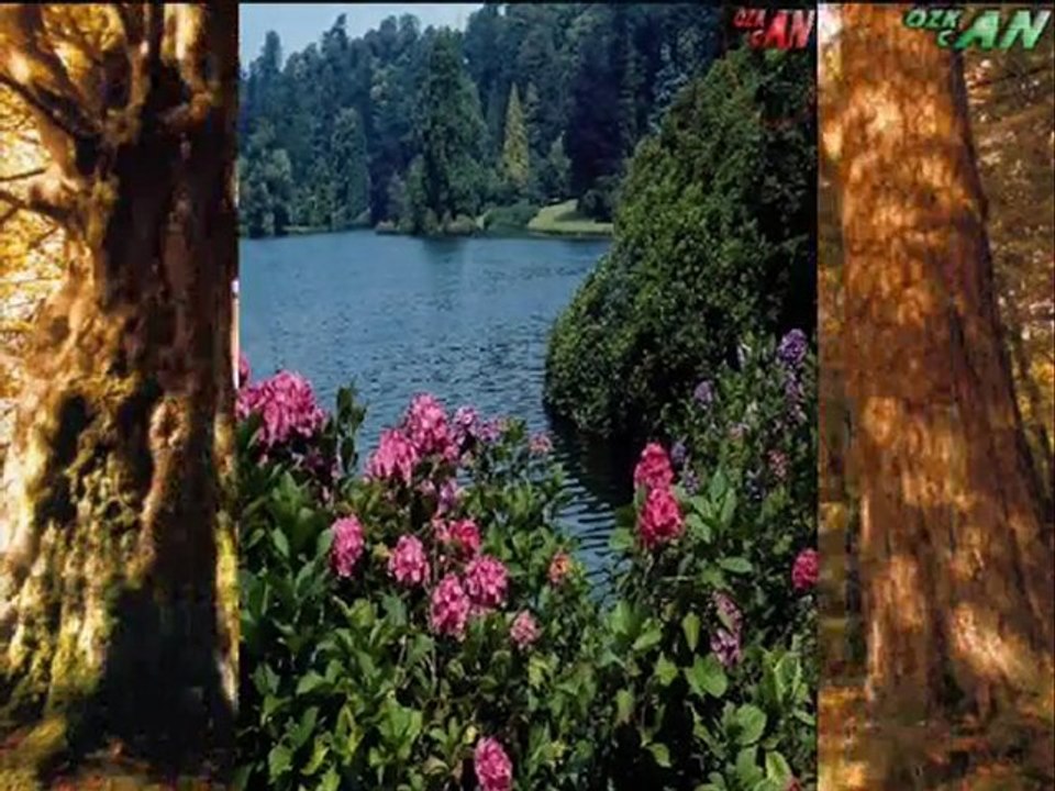 halim balta__ YAPMA