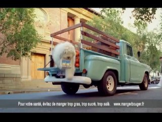 Oscar ! Reviens mon chien !