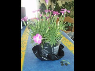 Réalisations 2010-2011