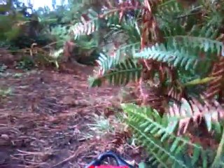 nouveaux reglage camera embarquée  essait n°7