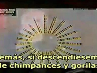 La historia indigna-2- (31 de 66)LLOID PIE,EL ESLABON PERDIDO DE LA EVOLUCION(medium_H.264-AAC)