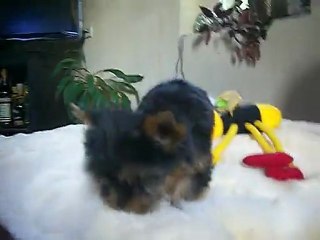 GET UP  2 mois  5 sept 2011