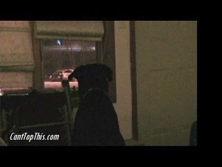 My rottweiler hates Cops!