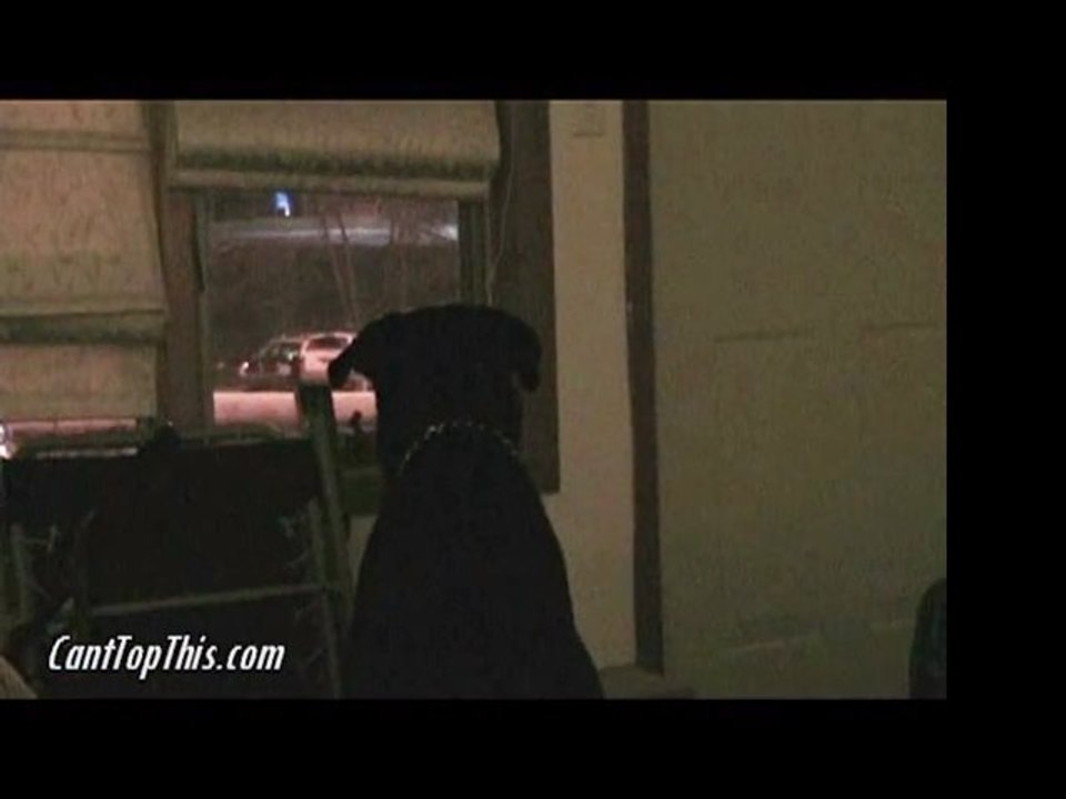My rottweiler hates Cops!