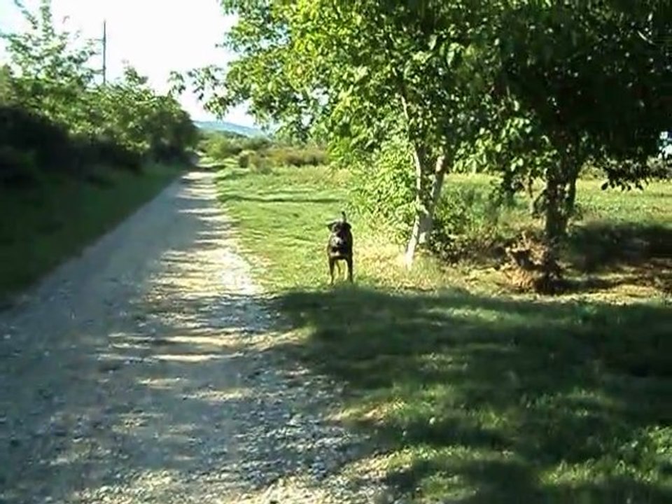 ballade du 5 sept 2011 004