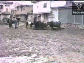 Başağaç web, Başağaç 1985'ler