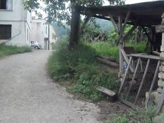 EMEKSAN YAZLIK KÖYÜ CAMİ YANI