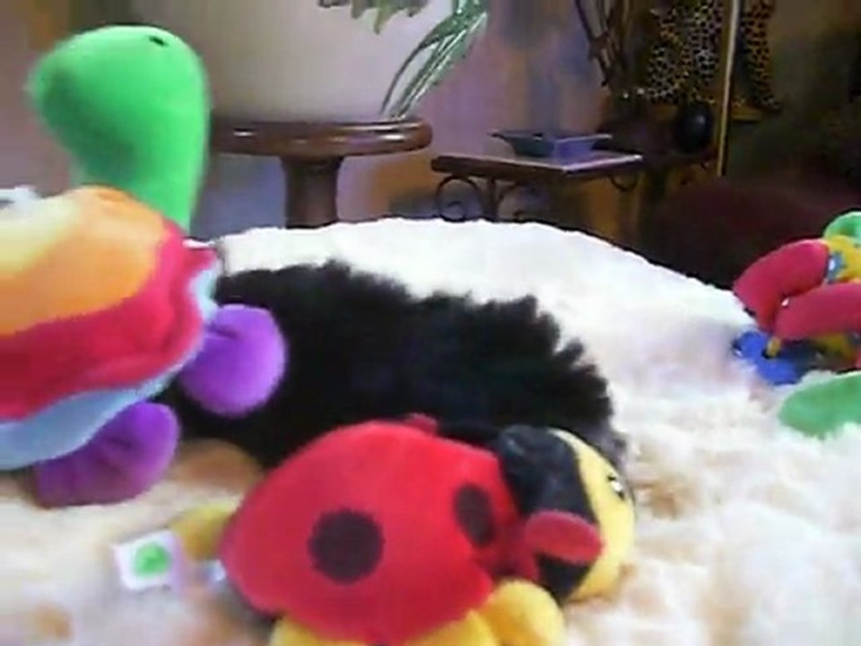 GADGET  2 mois  5 9 2011