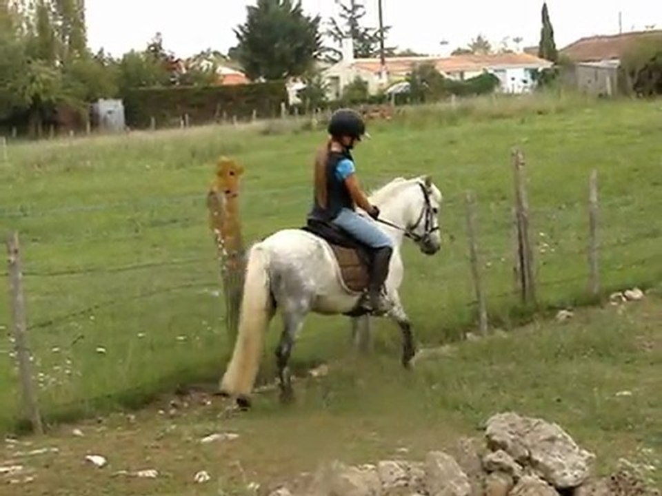 quito 3 septembre 2011