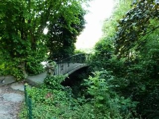 année 2011 - mois de juin - nº 31