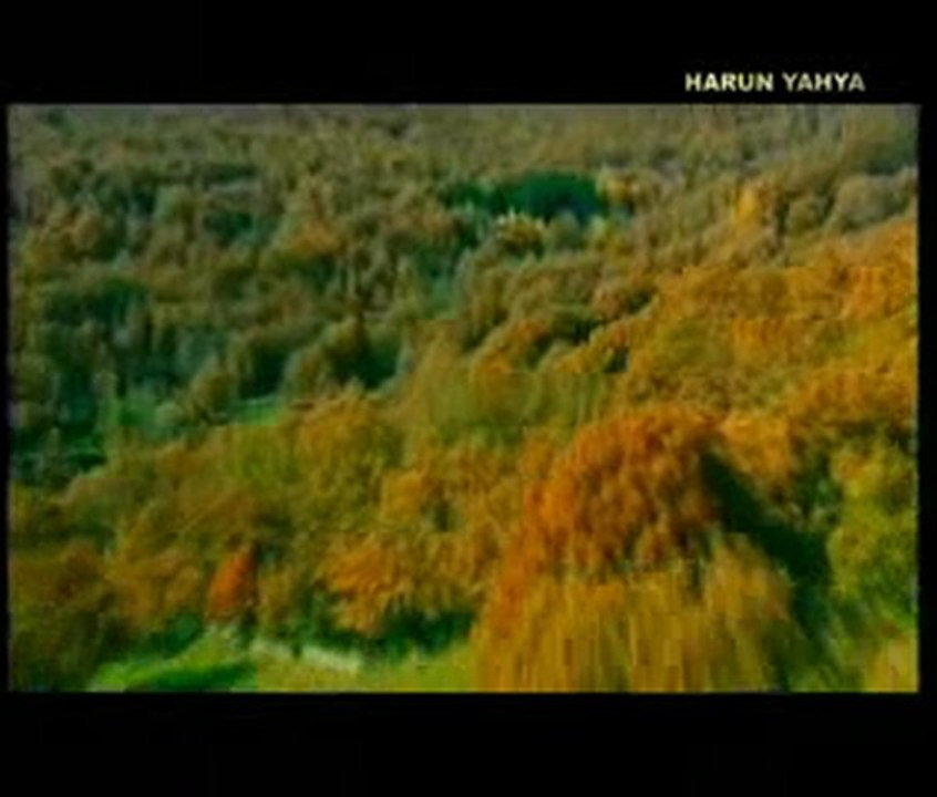 Müslümanların Hz. Musa ve Hz. İsa'ya olan sevgileri