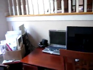 Atlanta House Cleaning Service Cleans Pet Hair