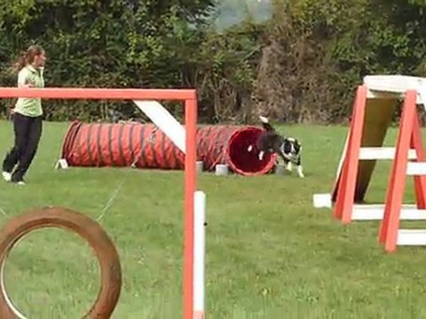 Engie premier concours d'agility (1er degré)