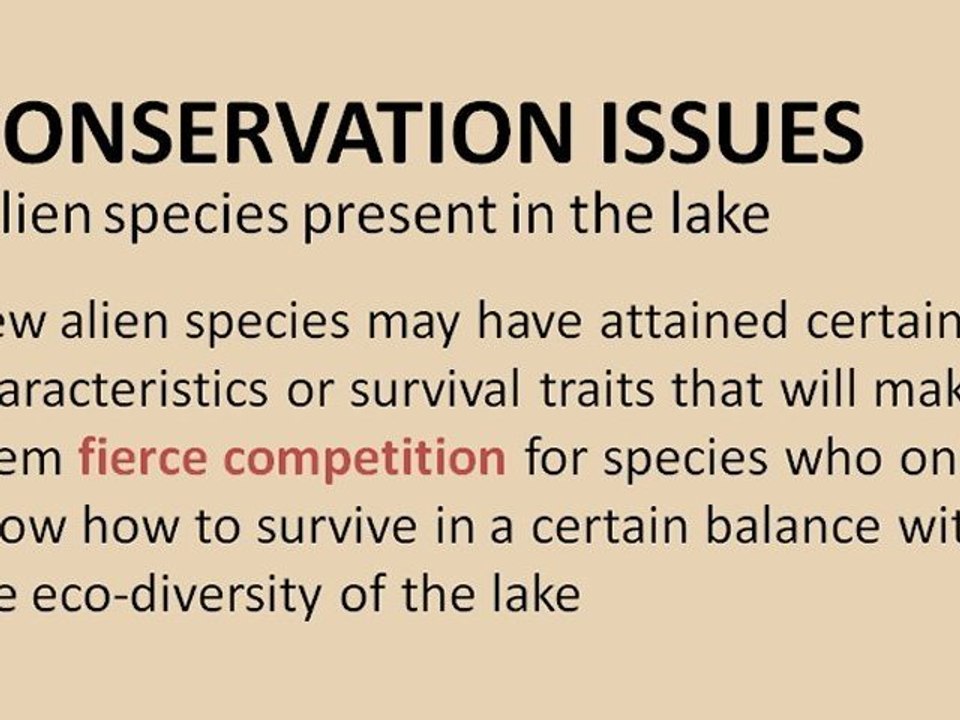 Growing Wetland Conservation Issues