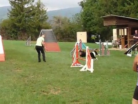 Engie premier concours d'agility (open)