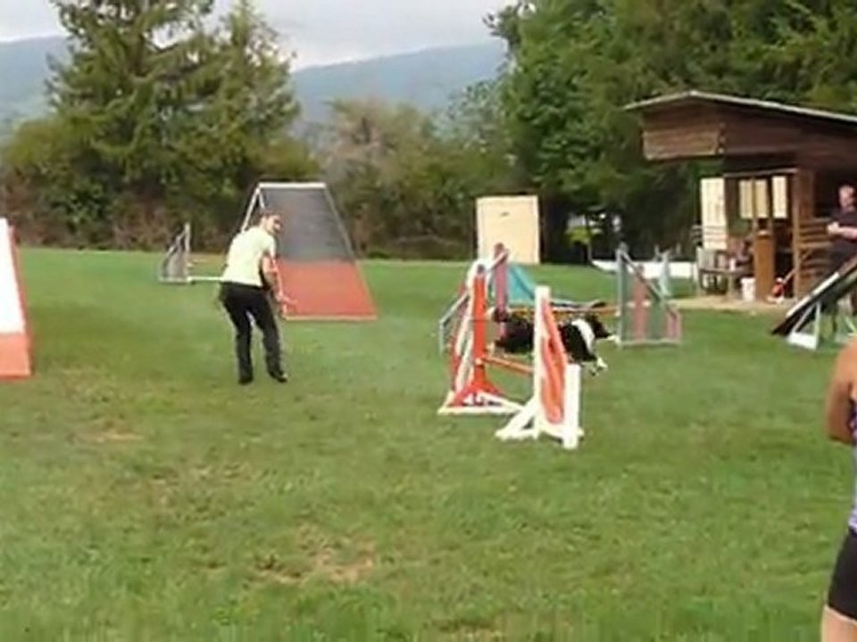 Engie premier concours d'agility (open)