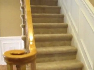 6703 Tulip St Phila PA