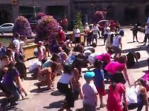Flashmob MJC Onet et MJC Rodez