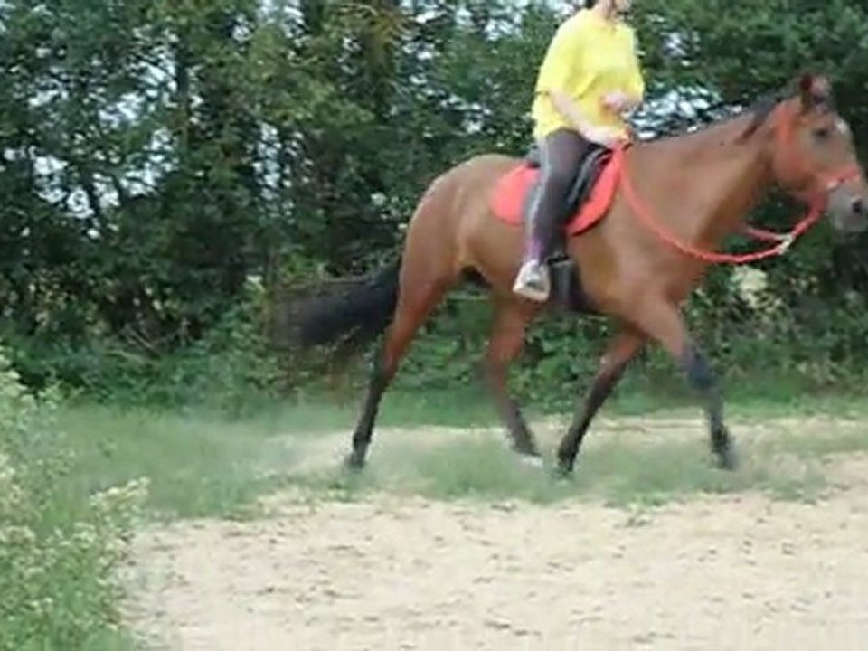 CIMG0112