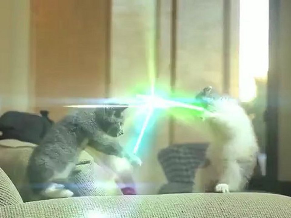 Chat jedi
