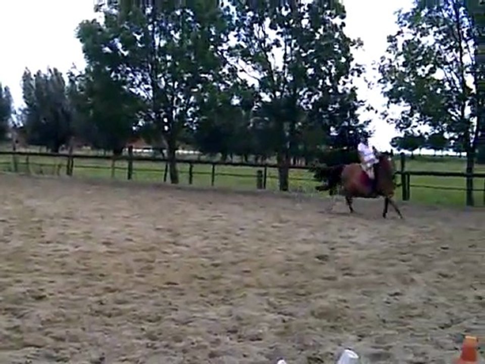 Tarzan
