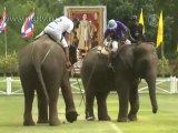 Чемпионат по поло на слонах стартует в Таиланде