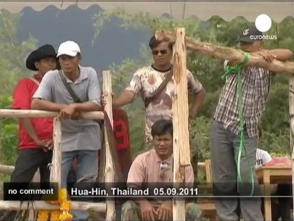 2012 King's Cup Elephant Polo Tournament - no comment