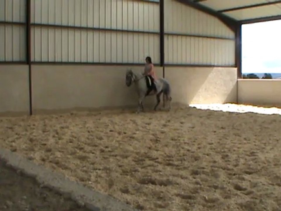 trot, arrêt enchainé trot et galop