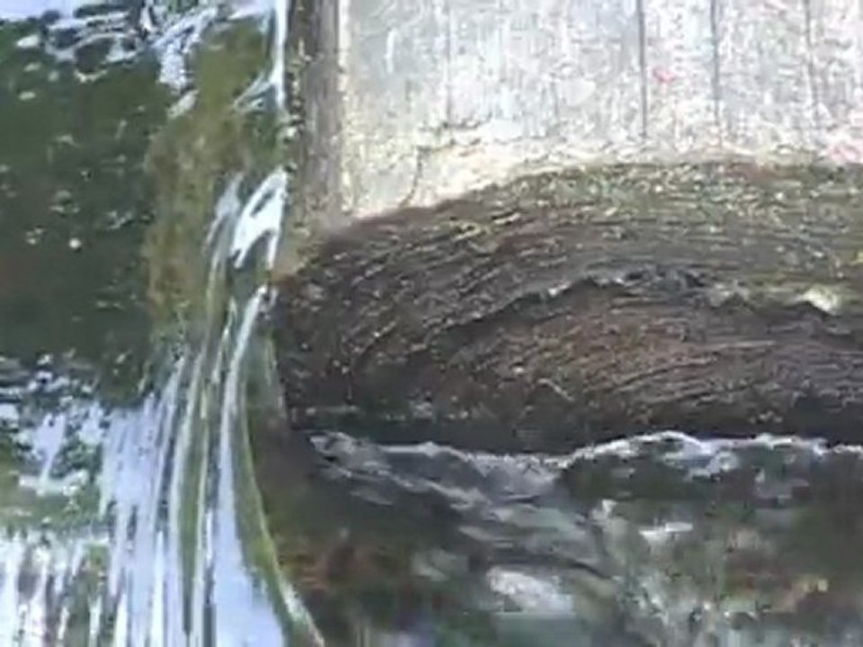 Being Water - le couple -