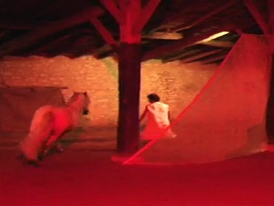 Tango du cheval Mac Bruist avec Olivier Schneider