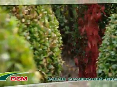 Une fertilisation optimale et une couverture impeccable. - DCM