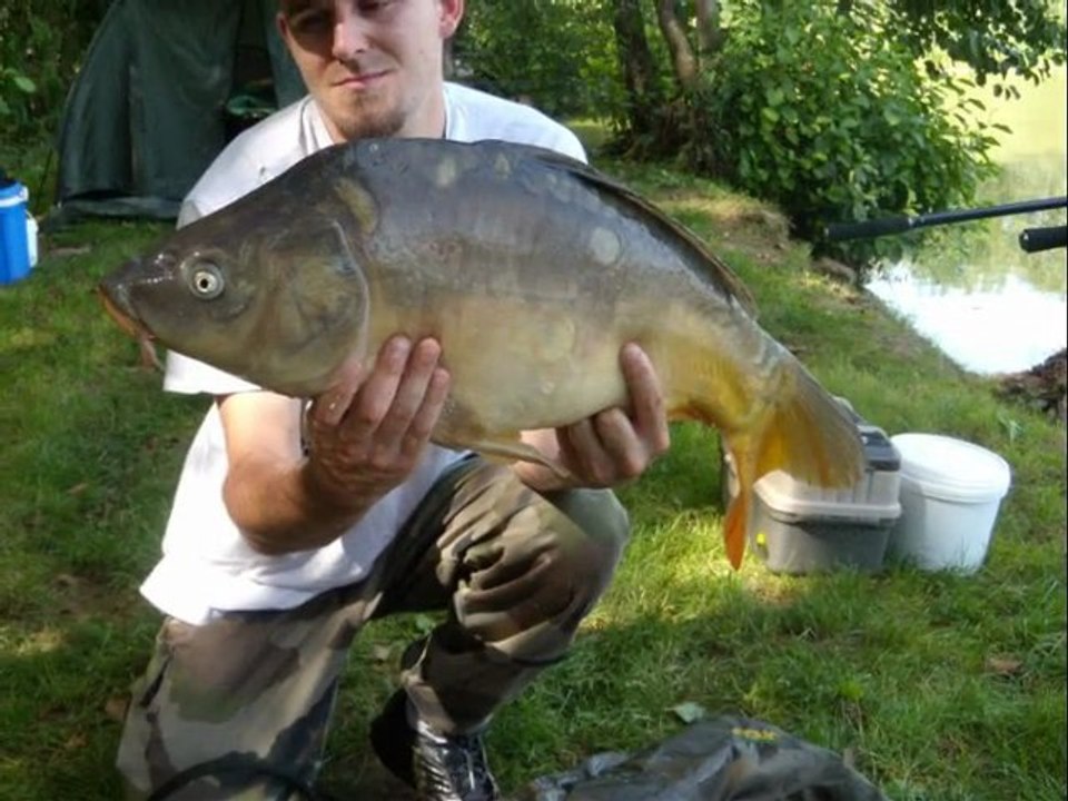 enduro chanterelles carpe 2011 belrupt vosges