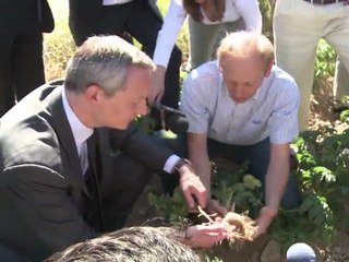 Les producteurs attendent avec impatience les mesures de LeMaire